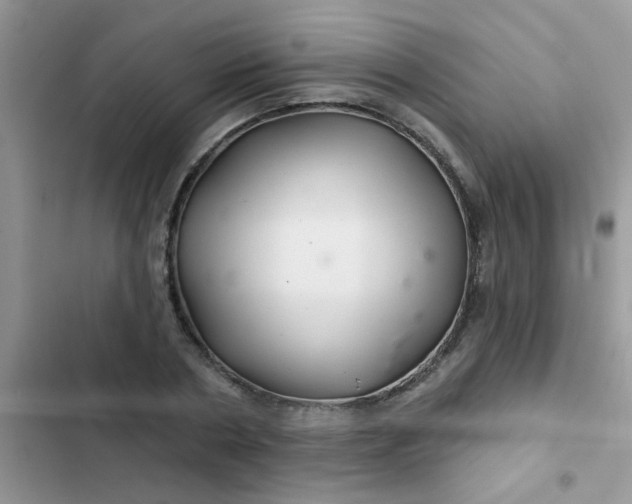 X0000102540786200808221928