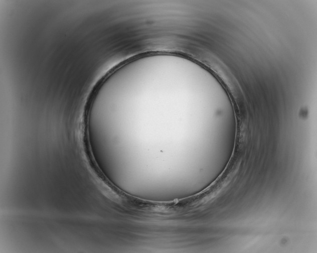 X0000102540787200808221928