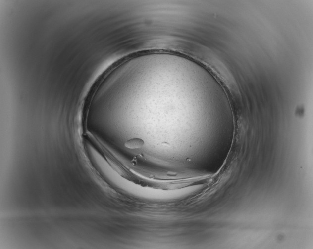 X0000102540788200808221928