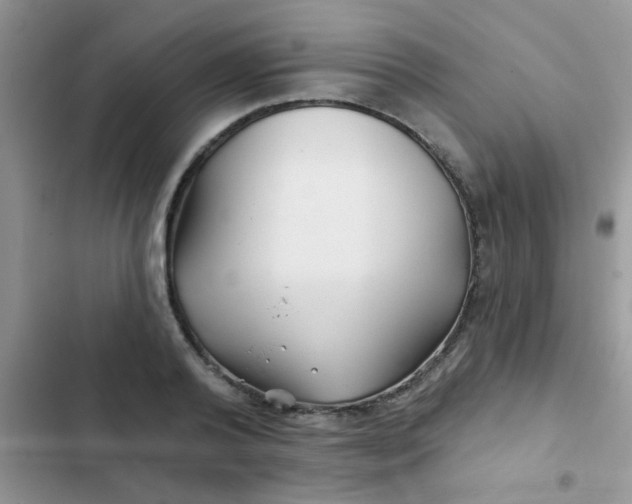 X0000102540792200808221928