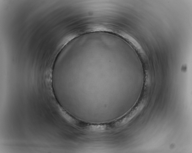X0000102540793200808221928
