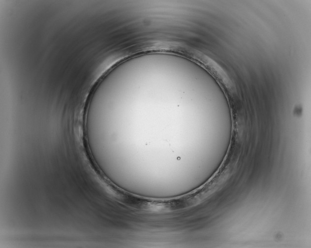 X0000102540794200808221928