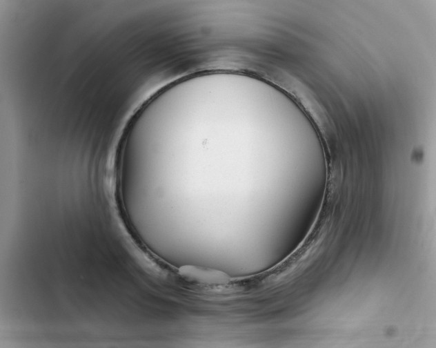 X0000102540795200808221928
