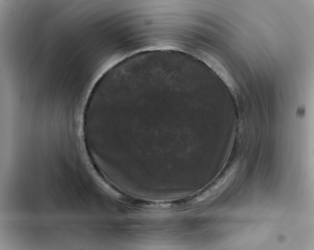 X0000102540797200808221928