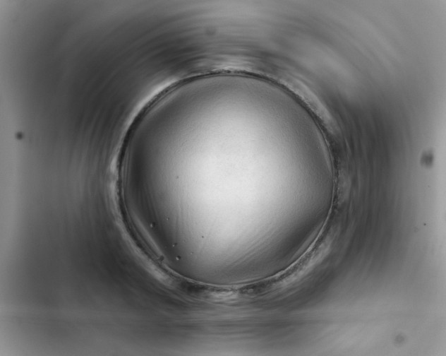 X0000102540798200808221928