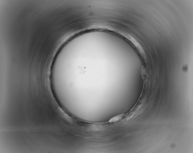 X0000102540799200808221928