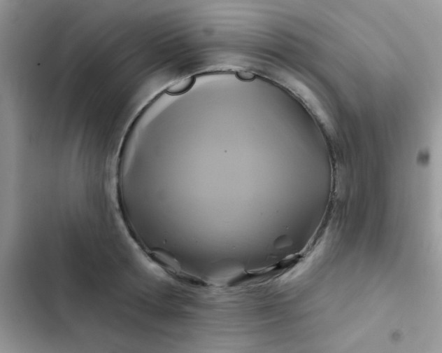 X0000102540802200808221928