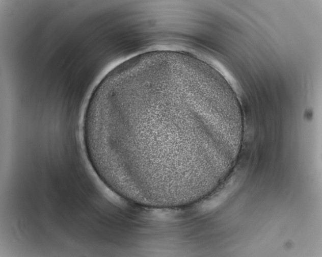 X0000102540803200808221928