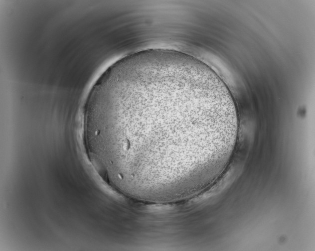 X0000102540804200808221928