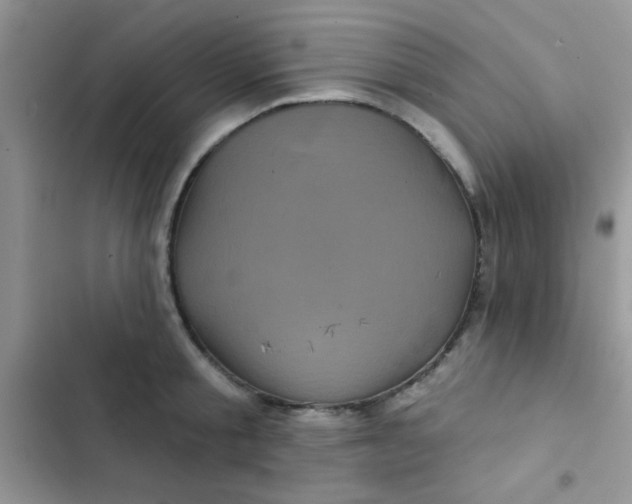 X0000102540805200808221928