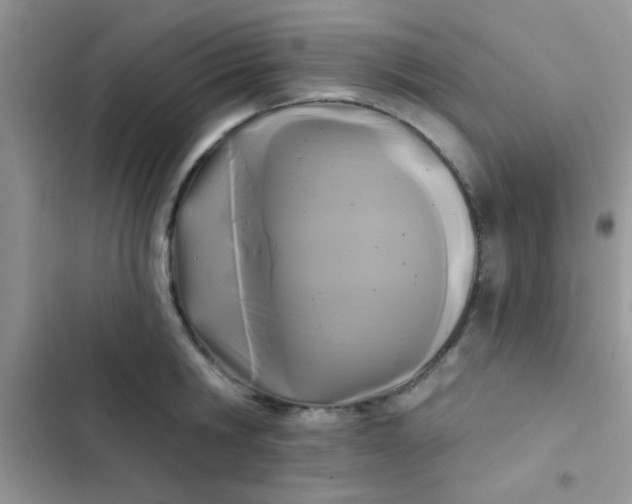 X0000102540806200808221928