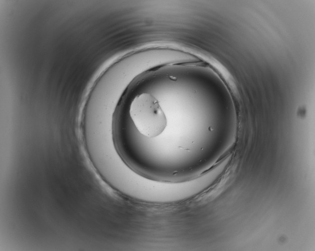 X0000102540807200808221928