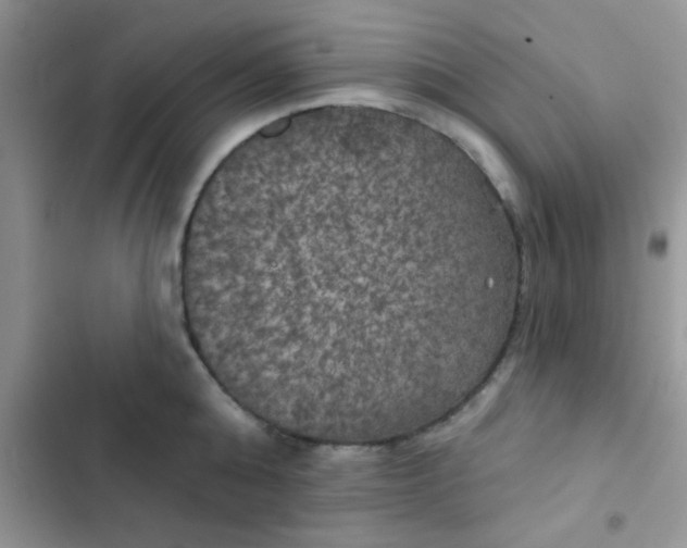 X0000102540808200808221928
