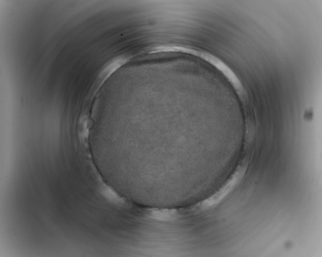 X0000102540809200808221928