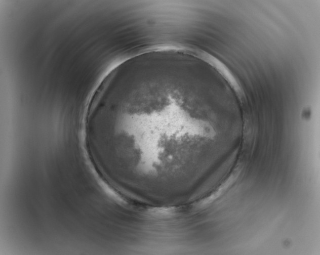 X0000102540810200808221928