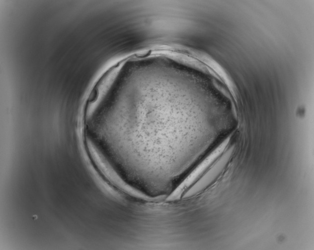 X0000102540811200808221928