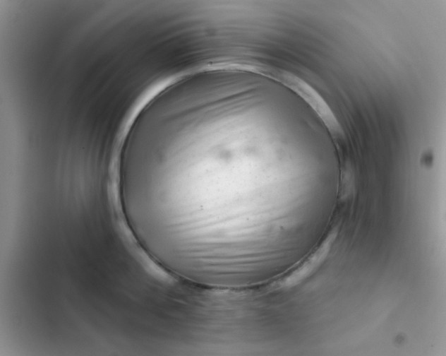 X0000102540812200808221927