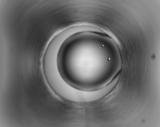 X0000102540813200808221927