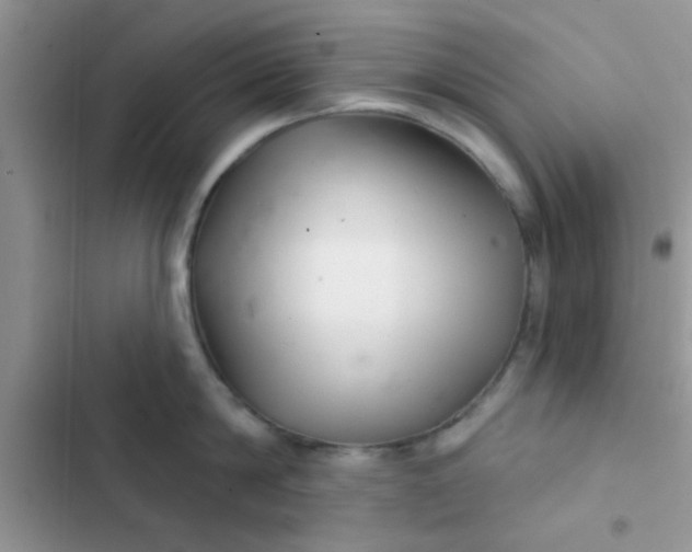 X0000102540814200808221927