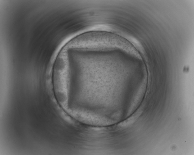 X0000102540816200808221927