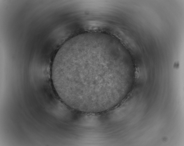 X0000102540820200808221927