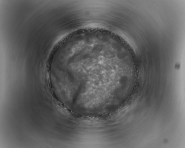 X0000102540823200808221927