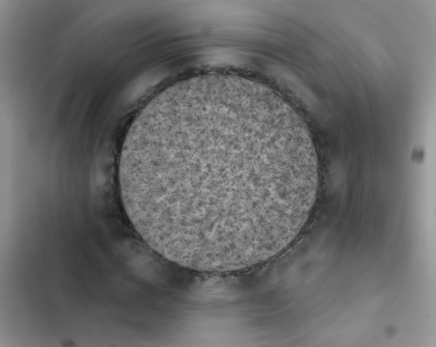 X0000102540824200808221927