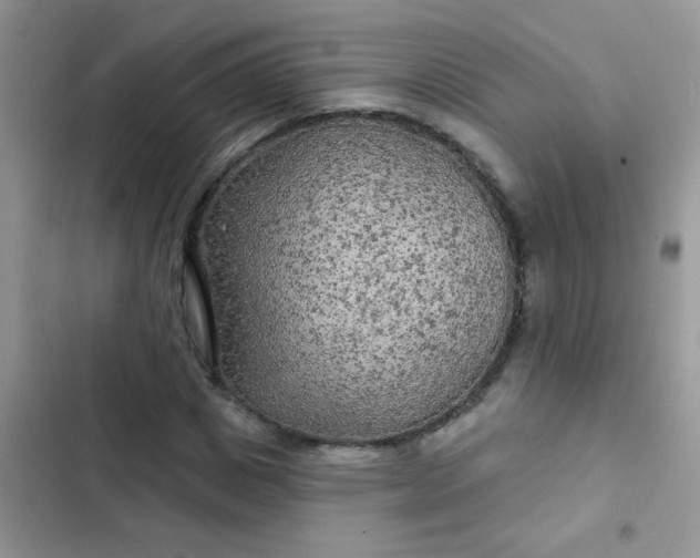 X0000102540825200808221927