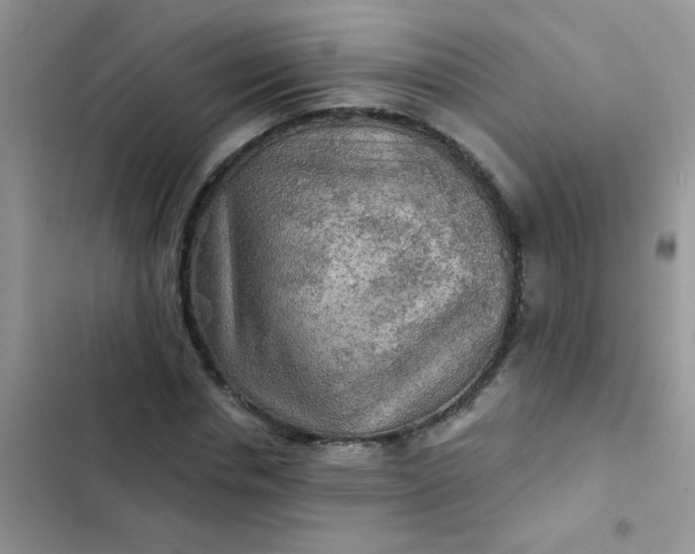X0000102540826200808221927