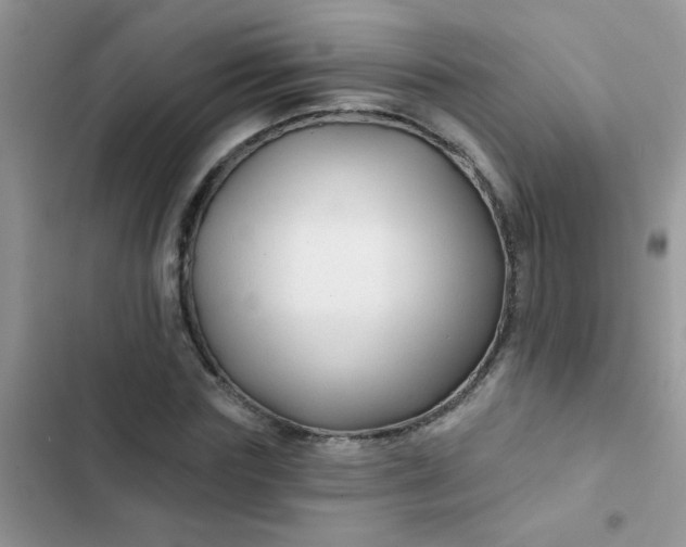 X0000102540827200808221927