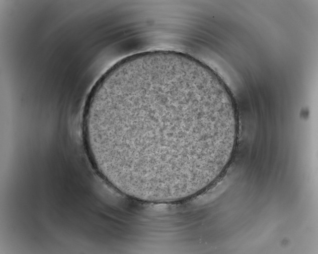 X0000102540828200808221927