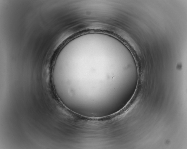 X0000102540829200808221927