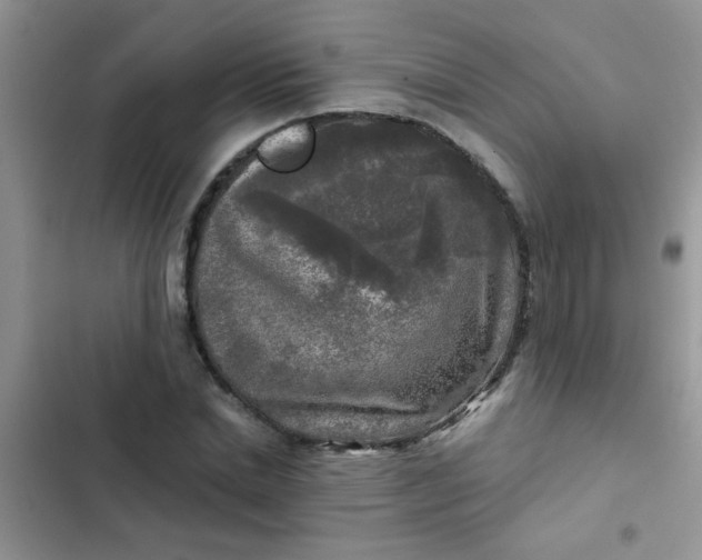 X0000102540830200808221927