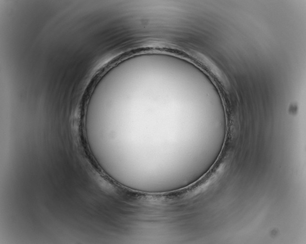 X0000102540831200808221927
