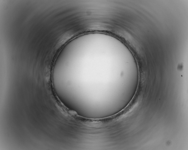 X0000102540833200808221927
