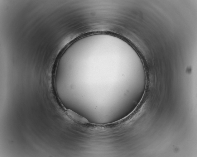 X0000102540834200808221927