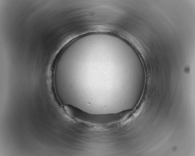X0000102540835200808221927