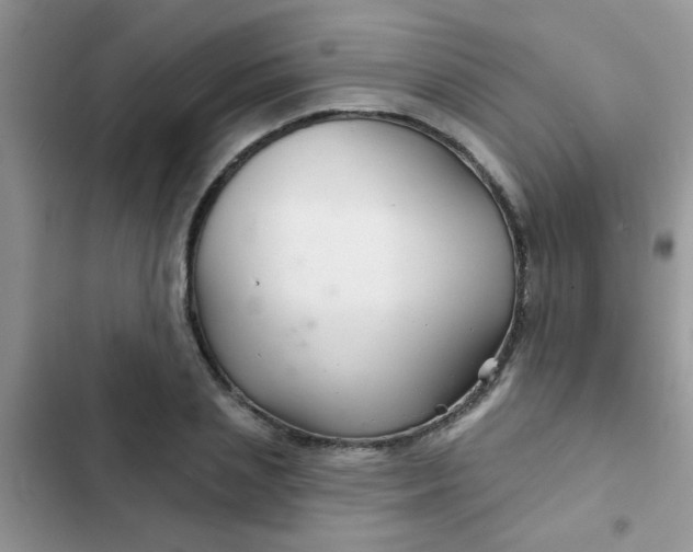 X0000102540837200808221927