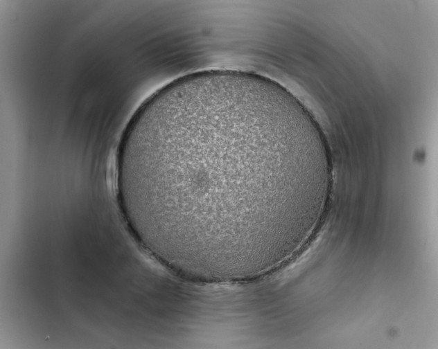 X0000102540838200808221927
