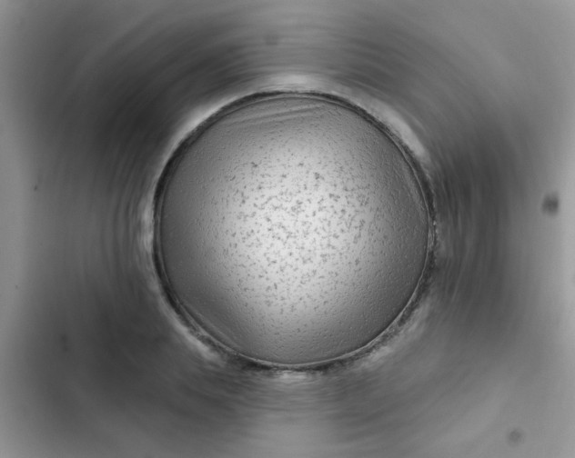 X0000102540839200808221927