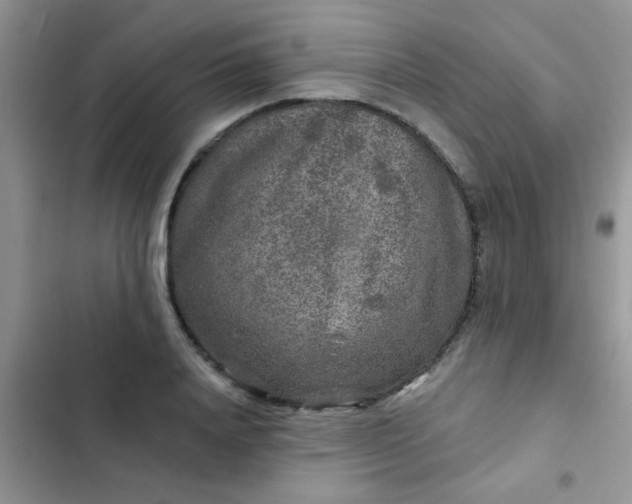 X0000102540840200808221927