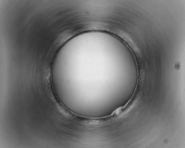 X0000102540841200808221927