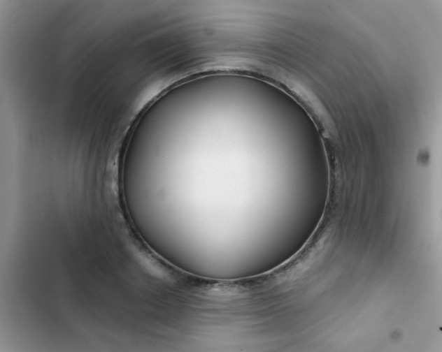 X0000102540842200808221927