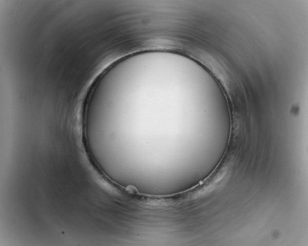 X0000102540843200808221927