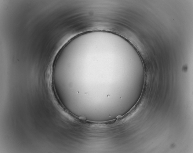 X0000102540844200808221927
