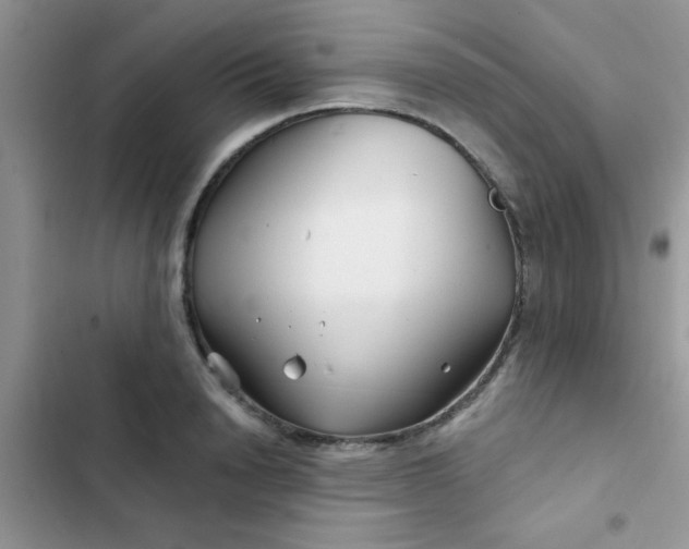 X0000102540846200808221927