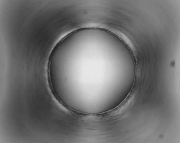 X0000102540847200808221927