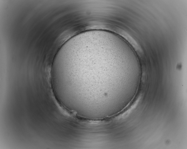 X0000102540849200808221927