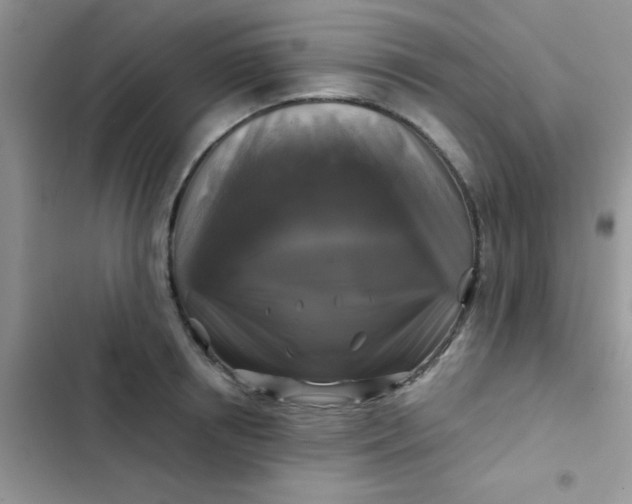 X0000102540850200808221927