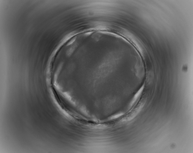 X0000102540851200808221927